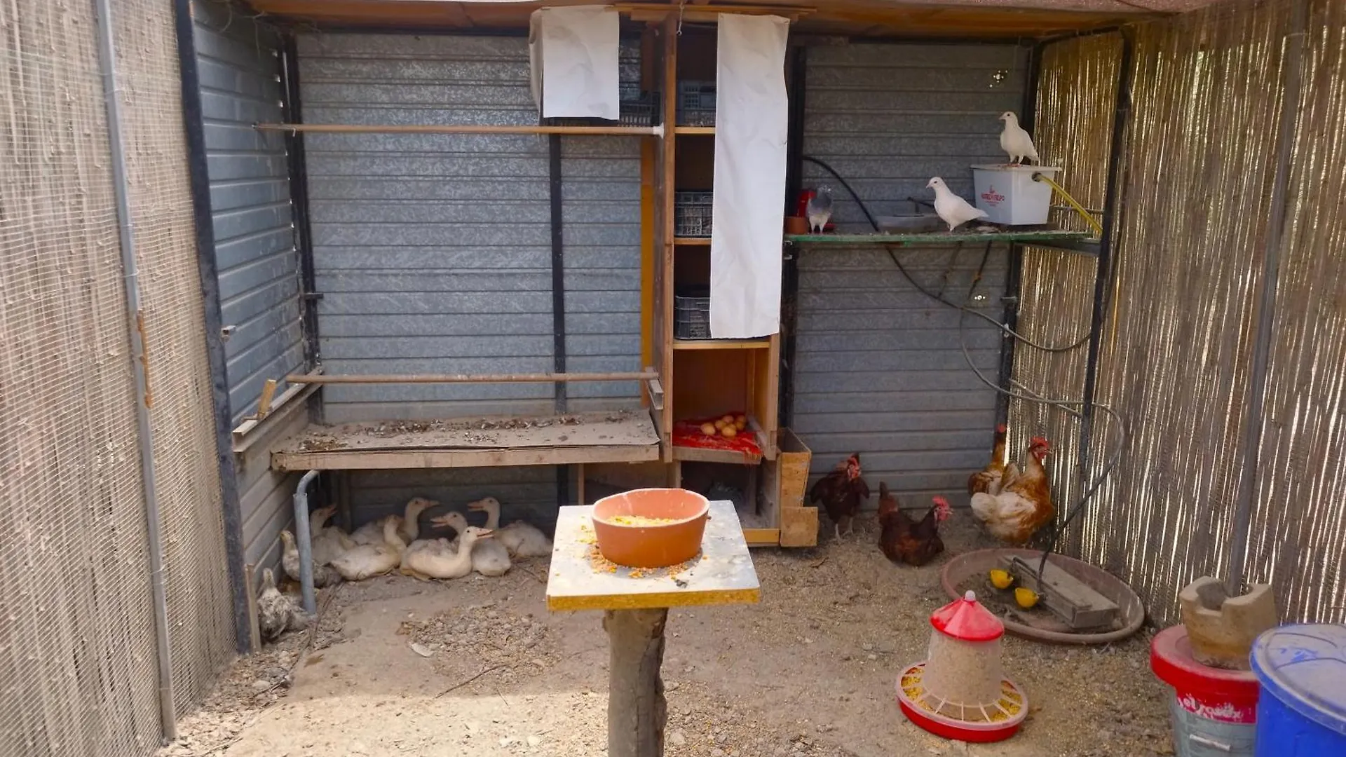 Apartamento Casita rural de Tamara Coín España