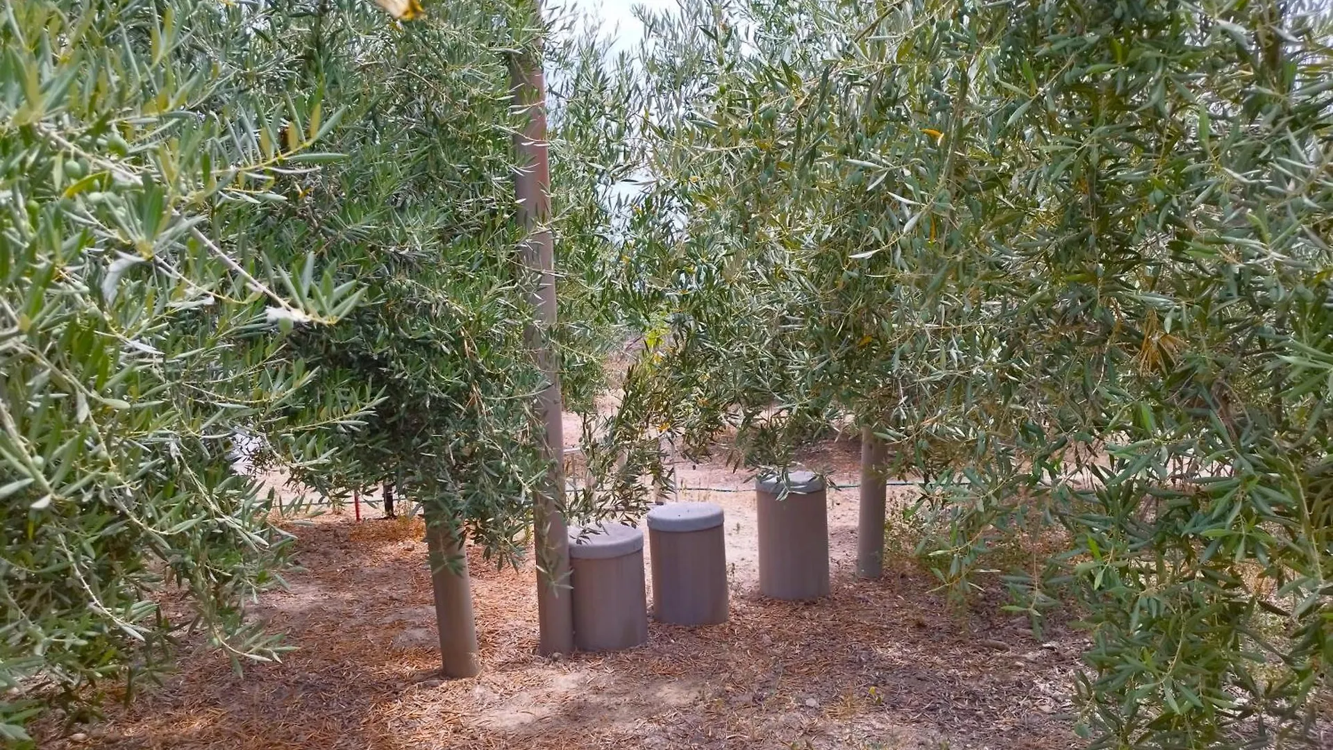 Apartamento Casita rural de Tamara Coín España